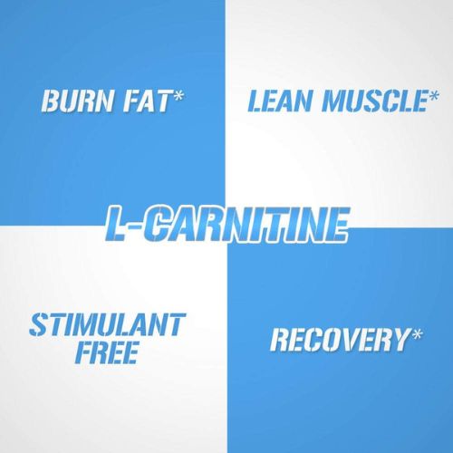 Carnitine 500 3 Carnitine 500 - Image 3