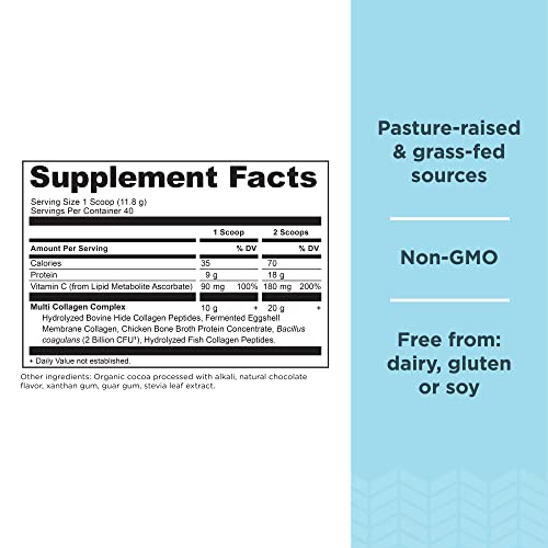 Ancient Nutrition Hydrolyzed Collagen Peptides Powder with Probiotics, Chocolate Multi Collagen Protein for Women and Men with Vitamin C, 40 Servings, Supports Skin and Nails,... 2 Ancient Nutrition Hydrolyzed Collagen Peptides Powder with Probiotics, Chocolate Multi Collagen Protein for Women and Men with Vitamin C, 40 Servings, Supports Skin and Nails,...