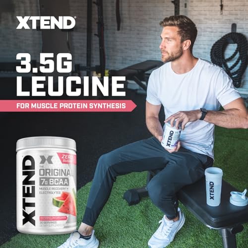 BCAA Powder 7g 4 XTEND Original BCAA Powder 7g BCAA and 2.5g L-Glutamine, Sugar Free Post Workout Muscle Recovery Drink with Amino Acids for Men & Women, 30 Servings