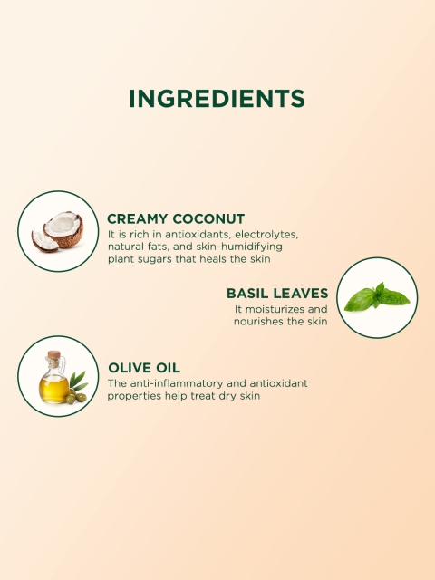 Biotique Creamy Coconut Deep Nourish Body Lotion For Dry Skin - 400ml 3 Biotique Creamy Coconut Deep Nourish Body Lotion For Dry Skin - 400ml