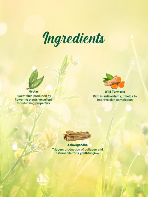 Biotique Morning Nectar Nourishing & Hydrate Moisturizer - 300ml 4 Biotique Morning Nectar Nourishing & Hydrate Moisturizer - 300ml