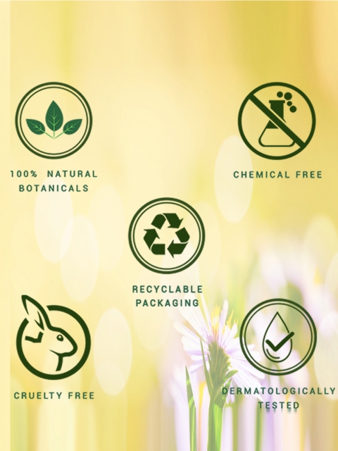 Biotique Morning Nectar Nourishing & Hydrate Moisturizer - 300ml 6 Biotique Morning Nectar Nourishing & Hydrate Moisturizer - 300ml