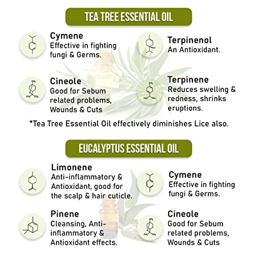 Keya Seth Aromatherapy, Scalp care Dandruff Removal Shampoo with Salicylic Acid, Tea Tree & Eucalyptus Oil –Reduces Dandruff & Flakes Itchy scalp 200ml 4 Keya Seth Aromatherapy, Scalp care Dandruff Removal Shampoo with Salicylic Acid, Tea Tree & Eucalyptus Oil –Reduces Dandruff & Flakes Itchy scalp 200ml