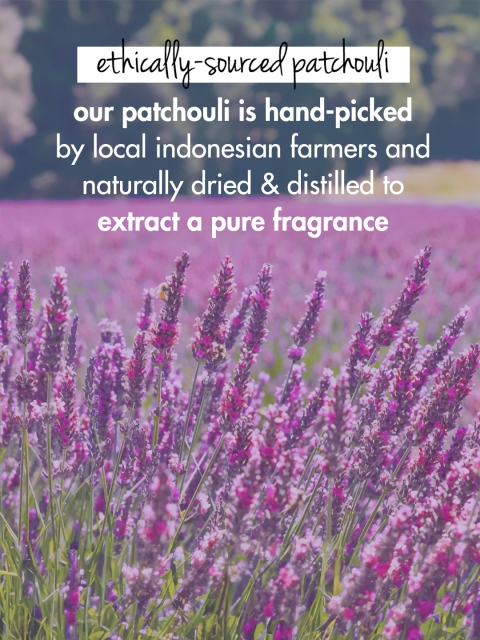 Love Beauty & Planet Anti-Hairfall Onion Black Seed Oil & Patchouli Shampoo - 400ml 6 Love Beauty & Planet Anti-Hairfall Onion Black Seed Oil & Patchouli Shampoo - 400ml