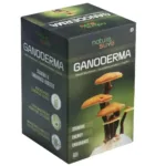 Nature Sure Ganoderma LingZhi Reishi Mushroom for Stamina, Endurance and Longevity - 60 Capsules