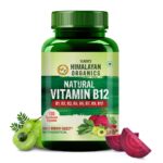 Vlado's Himalayan Organics Plant Based Vitamin B12 Supplement | B1,B2,B3,B5,B6,B7,B9,Moringa| Boost Energy Level | Good For Digestion And Nerve Health | Glowing Skin For Men &...