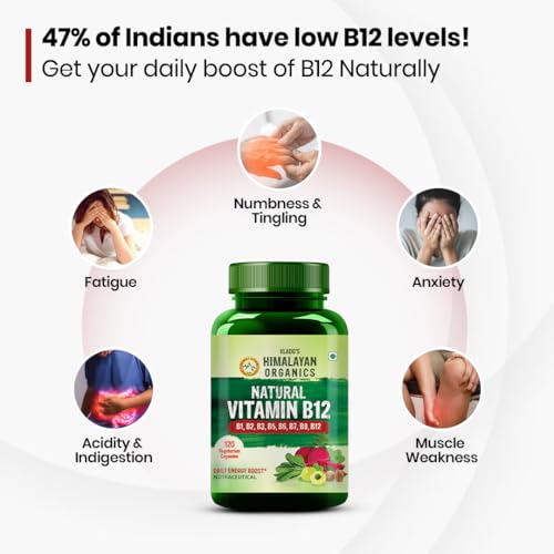 Vlado's Himalayan Organics Plant Based Vitamin B12 Supplement | B1,B2,B3,B5,B6,B7,B9,Moringa| Boost Energy Level | Good For Digestion And Nerve Health 4 Vlado's Himalayan Organics Plant Based Vitamin B12 Supplement | B1,B2,B3,B5,B6,B7,B9,Moringa| Boost Energy Level | Good For Digestion And Nerve Health