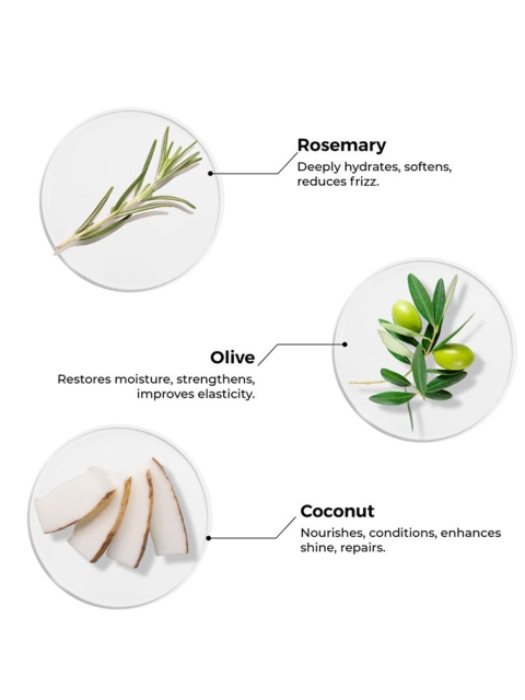 BRILLARE Rosemary Oil Shots For Rapid Hair Growth - 48 ml 5 BRILLARE Rosemary Oil Shots For Rapid Hair Growth - 48 ml