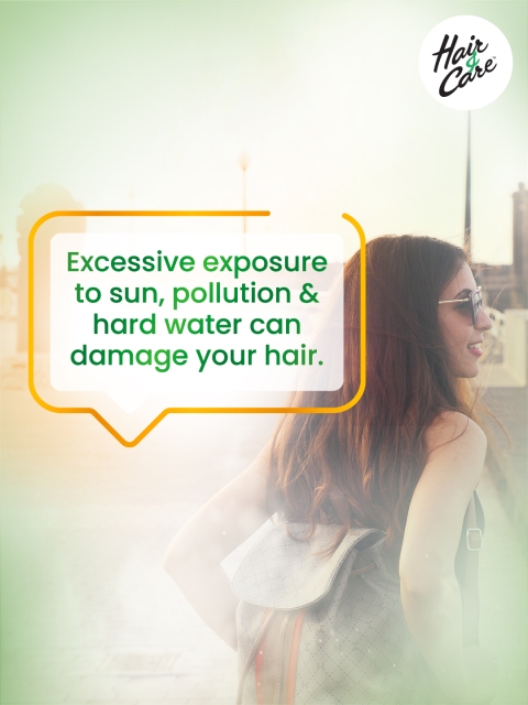 Hair & Care Pack of 2 Aloe Vera, Olive Oil & Green Tea Damage Repair Hair Oil - 300ml Each 4 Hair & Care Pack of 2 Aloe Vera, Olive Oil & Green Tea Damage Repair Hair Oil - 300ml Each