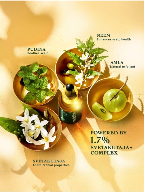 indulekha Svetakutuja Dandruff Treatment Scalp Serum with Neem & Amla - 30 ml 2 indulekha Svetakutuja Dandruff Treatment Scalp Serum with Neem & Amla - 30 ml