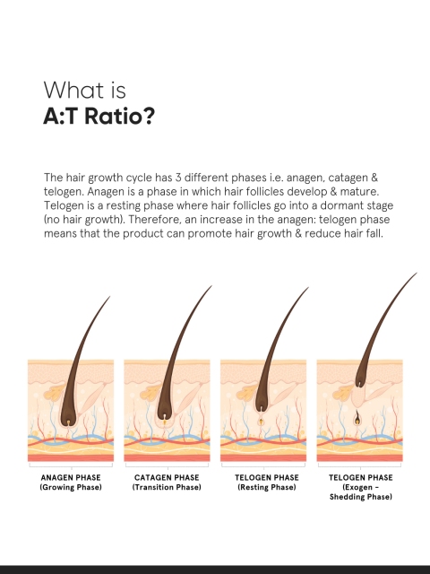 Minimalist 18% Hair Growth Actives Hair Serum - 30 ml 5 Minimalist 18% Hair Growth Actives Hair Serum - 30 ml