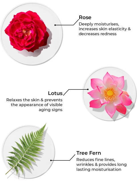 BRILLARE Age Revival Moisturiser for Ageing Skin with Rose Lotus & Tree Fern - 50ml 5 BRILLARE Age Revival Moisturiser for Ageing Skin with Rose Lotus & Tree Fern - 50ml