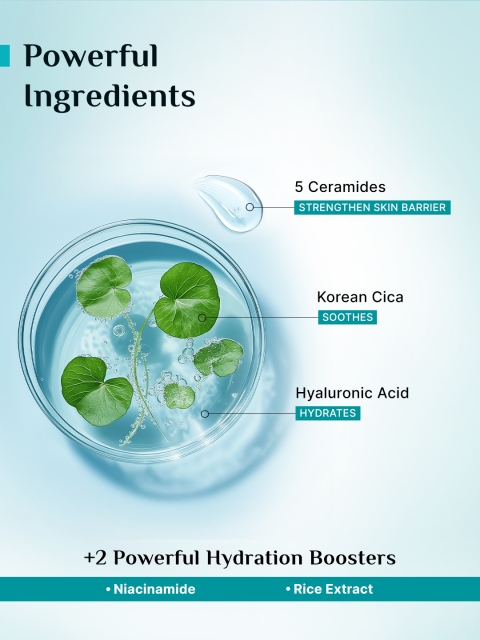 Buy Pilgrim 5 Ceramides Barrier Repair Lightweight Moisturizer With Koeran CICA 100 G - - Personal Care for Unisex 6 Buy Pilgrim 5 Ceramides Barrier Repair Lightweight Moisturizer With Koeran CICA 100 G - - Personal Care for Unisex