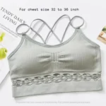 Imported Soft and Comfortable Best Quality Stretchable Bra for Women Grey