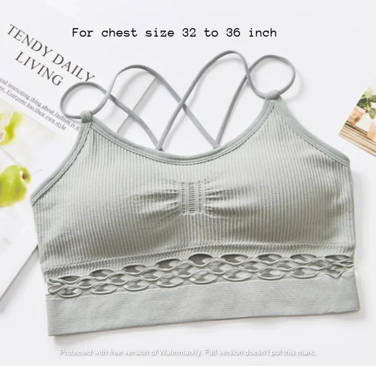 Imported Soft and Comfortable Best Quality Stretchable Bra for Women Grey 1 Imported Soft and Comfortable Best Quality Stretchable Bra for Women Grey