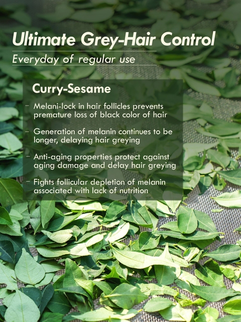 Nat Habit Curry Sesame Summer Dasabuti Grey Hair Control Oil - 100ml 4 Nat Habit Curry Sesame Summer Dasabuti Grey Hair Control Oil - 100ml