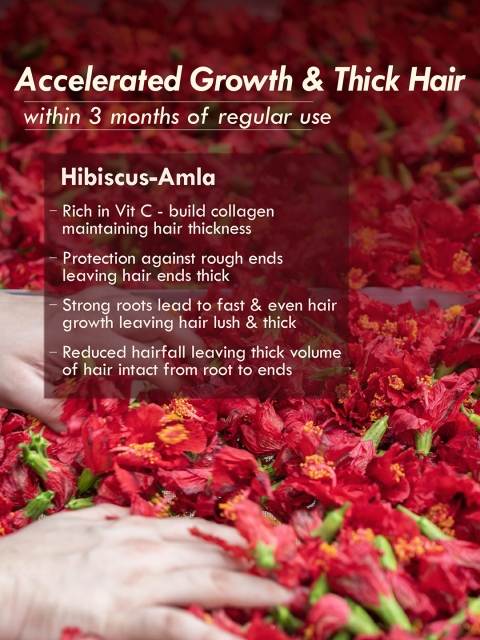 Nat Habit Hibiscus Amla Summer Dasabuti Hair Oil for Hair Growth & Fall Control - 200ml 5 Nat Habit Hibiscus Amla Summer Dasabuti Hair Oil for Hair Growth & Fall Control - 200ml