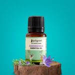 Pilgrim Anti Hairfall Range Spanish Rosemary Essential Oil for Hair Growth - 10ml