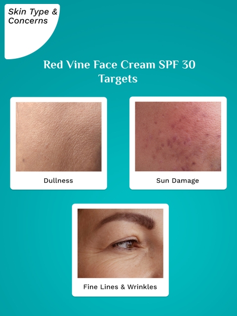 Pilgrim Red Vine Face Cream SPF 30 With Vitamin C & Rosehip Oil For Dark Spots & Ageing 4 Pilgrim Red Vine Face Cream SPF 30 With Vitamin C & Rosehip Oil For Dark Spots & Ageing