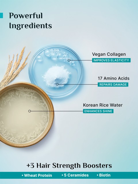 Pilgrim Korean Rice Water & Collagen Advanced Damage Repair Conditioner - 200ml 3 Pilgrim Korean Rice Water & Collagen Advanced Damage Repair Conditioner - 200ml