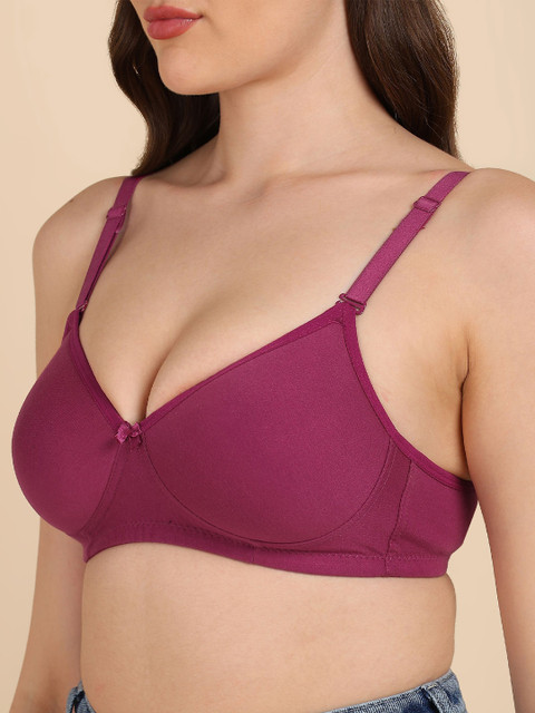 DressBerry Pack of 2 Women Medium Padded Cotton T-shirt Bra 6 DressBerry Pack of 2 Women Medium Padded Cotton T-shirt Bra