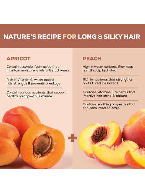 JOY Set of 2 Apricot & Peach Conditioning Shampoo for Long & Silky Hair - 340ml Each 3 JOY Set of 2 Apricot & Peach Conditioning Shampoo for Long & Silky Hair - 340ml Each