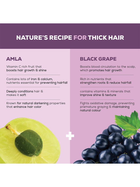 JOY Set Of 2 Hair Fruits Shining Black Conditioning Shampoo with Amla - 340ml each 3 JOY Set Of 2 Hair Fruits Shining Black Conditioning Shampoo with Amla - 340ml each